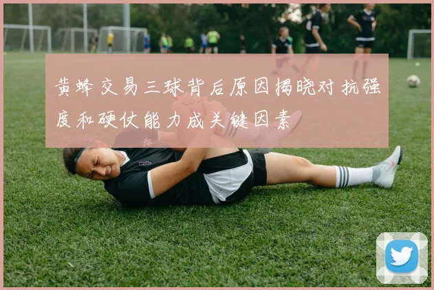 黄蜂交易三球背后原因揭晓对抗强度和硬仗能力成关键因素