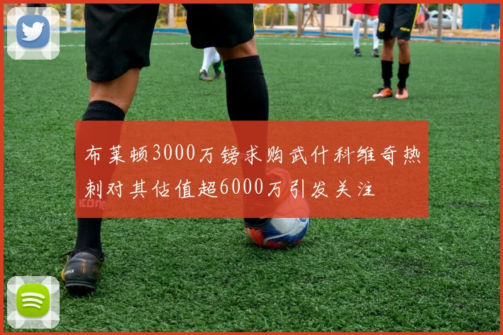 布莱顿3000万镑求购武什科维奇热刺对其估值超6000万引发关注