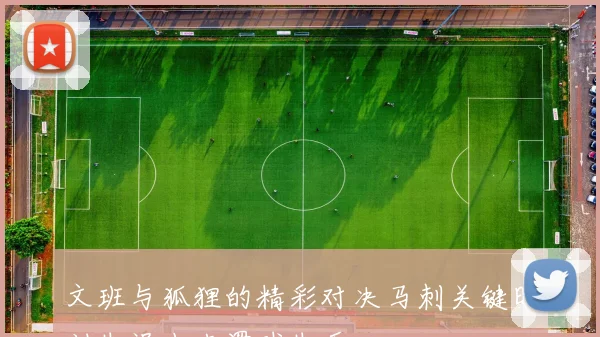文班与狐狸的精彩对决马刺关键时刻失误小卡罚球失手